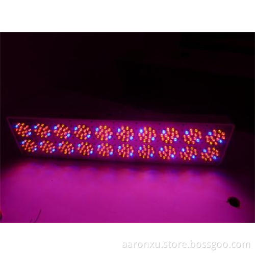 full spectrum Apollo 20 led grow light